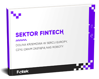 https://static.fintek.pl/uploads/2019/05/Ebook-Sektor-Fintech.pdf
